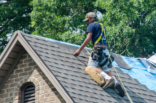 Professional Roofing Contractor in Arlington, GA